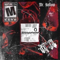 Cranial Acid - Single - Mr Hollow