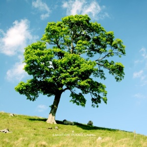Plant Trees In Mind - Single