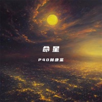 命星 - Single - P40林康鉴