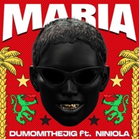 Maria (feat. Niniola & Black Culture) - Single - Dumomi the Jig