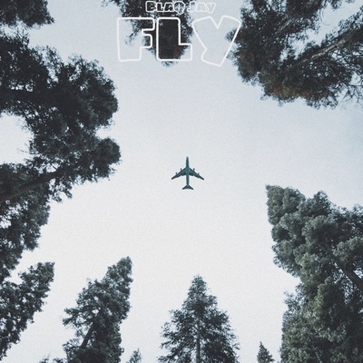 F.L.Y - Single
