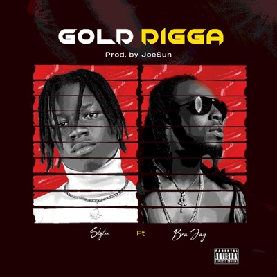 Gold Digga (feat. Bra Jay) - Single