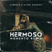 Hermoso Momento (Remix) artwork