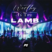 Worthy Is the Lamb (Live) artwork