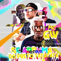 Se Apruma no Colo do Preto Tatatata - Single - Dj Bruninho Pzs, Dj Mano Lost & MC GW