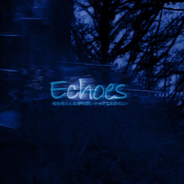 Echoes