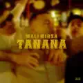Tanana
