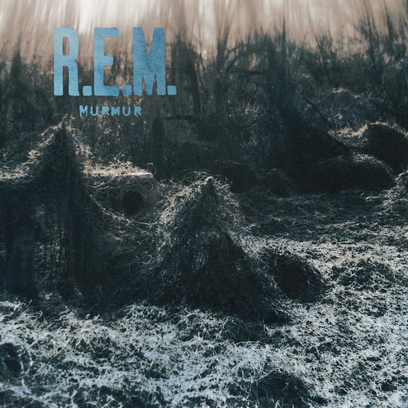Radio Free Europe by R.E.M.
