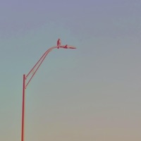 <3 Less - Single - Deemotrii