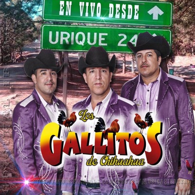 Los Gallitos de Chihuahua - El Copalquin (En vivo)