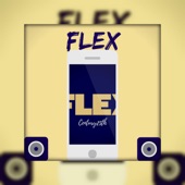 Flex (Radio Edit) artwork
