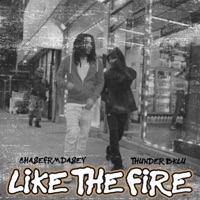 Like the Fire (feat. Thunder Bklu) - Single - ChaseFrmDaSev