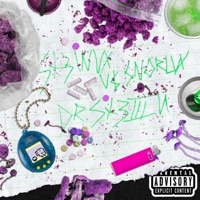 STEINAX V$ SNORLAX - Dr. Stein & Figure8