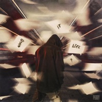 What's It Like? - Single - PERRY