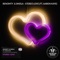 Stereo Love (feat. Aaron Kaye) artwork