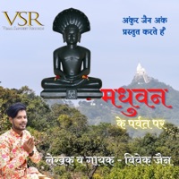 Madhuvan Ke Parvat Par - Single - Vivek Jain