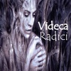 Videca