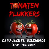 Tomatenplukkers (Barry Fest Remix) artwork