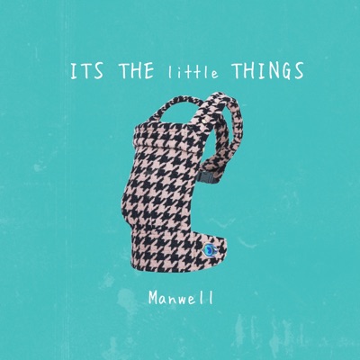 Its the little Things - Single