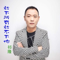 放下所有放不下你 - Single - Qi Long