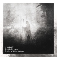 Giant/Alive - Single - HØST, T-Man & Rider Shafique