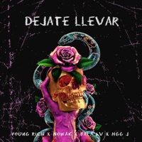 Déjate llevar (feat. Young rich, BALA LV & Ngg J) - Single - Nowak