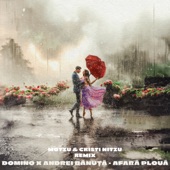 Afară plouă (Motzu & Cristi Nitzu Remix) artwork