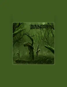 聆聽 Decaying Purity、觀看音樂影片、閱讀小傳、查看巡演日期等！