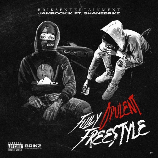 Fully Opulent Freestyle (feat. Shanebrikz)