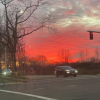 Fall - Single - carbine