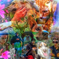 The Swamp Castle - Cody kerr