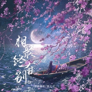 相聚终有别 - Single