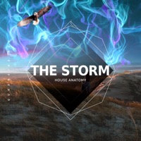 The Storm - Single - House Anatomy