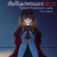 สำคัญแค่ตอนเธอเหงา (feat. DRACONIC & WIN4) - Single - CatKhat
