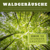 Waldgeräusche mit und ohne Musik (XXL Bundle) - Naturgeräusche aus aller Welt