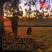 7 Mile Bluegrass - How Many Heartbreaks