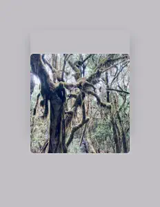 收听 feliXfeil、观看音乐视频、阅读小传、查看巡演日期等 ！