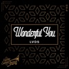 Wonderful You - Single