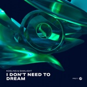 I Don't Need to Dream artwork
