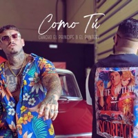 Como Tú - Single - Chacho El Príncipe & EL PVNTERV