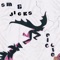 Vanessa from Queens - Stephen Malkmus & The Jicks lyrics