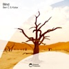 Blind - Single