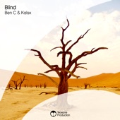 Blind (Extended Mix) artwork