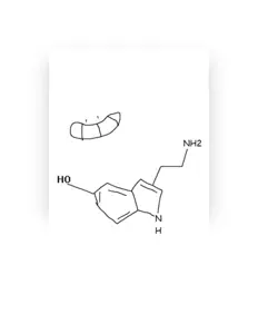 Bacskii: песни, клипы, биография, даты выступлений и многое другое.