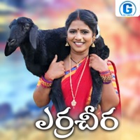 Erra Cheera - Single - Vadlakonda Anil Kumar