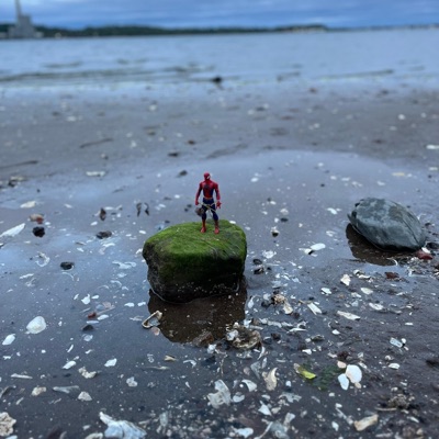 did I Say That? - Single