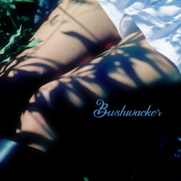 Bushwacker