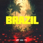 Brazil artwork