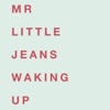 Mr Little Jeans