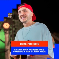 A Gente Bota pra Quebrar / Curtindo a Vida / Calma Amor (Ao Vivo) - Single - Grupo Doze por Oito